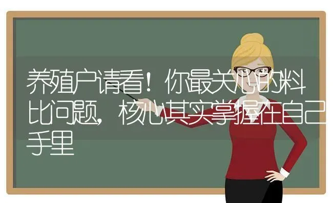 养殖户请看！你最关心的料比问题，核心其实掌握在自己手里 | 动物养殖百科