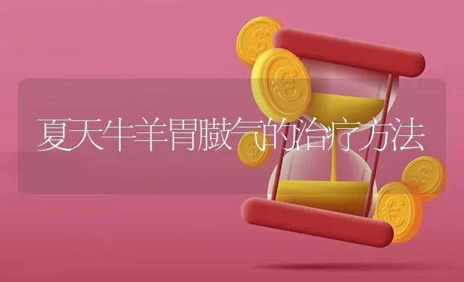 夏天牛羊胃臌气的治疗方法 | 家畜养殖