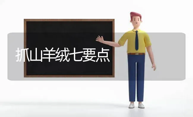 抓山羊绒七要点 | 家畜养殖