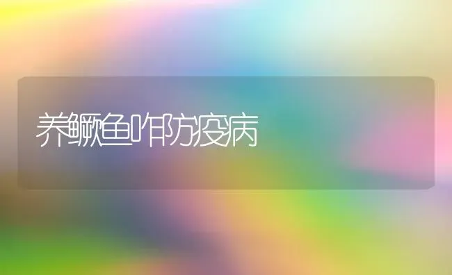 养鳜鱼咋防疫病 | 淡水养殖
