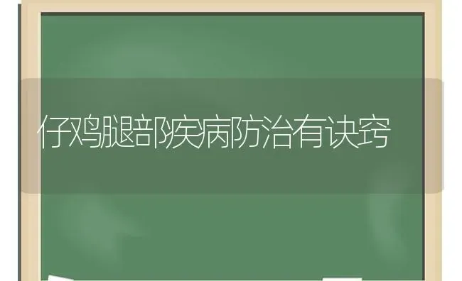 仔鸡腿部疾病防治有诀窍 | 家禽养殖