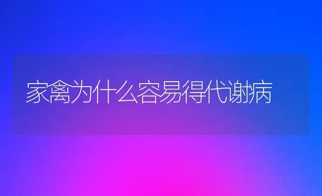 家禽为什么容易得代谢病 | 家禽养殖