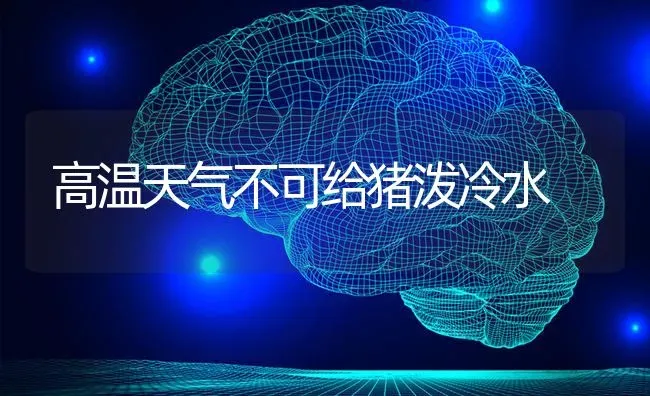 高温天气不可给猪泼冷水 | 家畜养殖