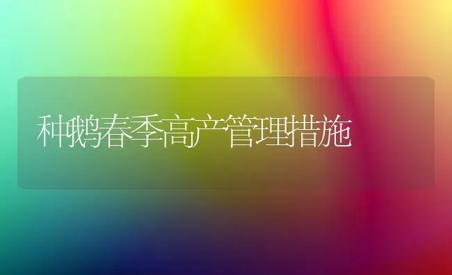 种鹅春季高产管理措施 | 家禽养殖