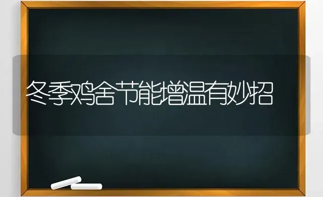 冬季鸡舍节能增温有妙招 | 家禽养殖