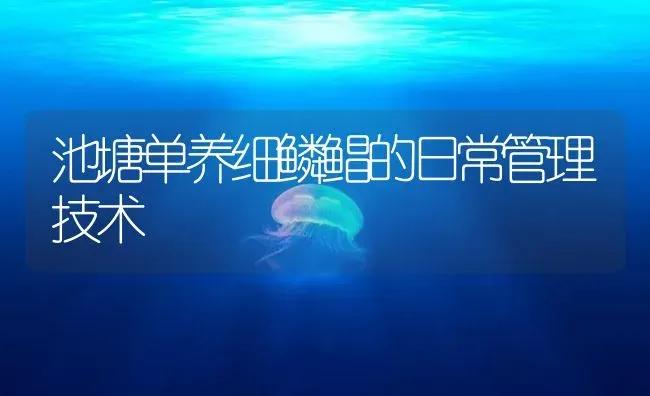 池塘单养细鳞鲳的日常管理技术 | 海水养殖