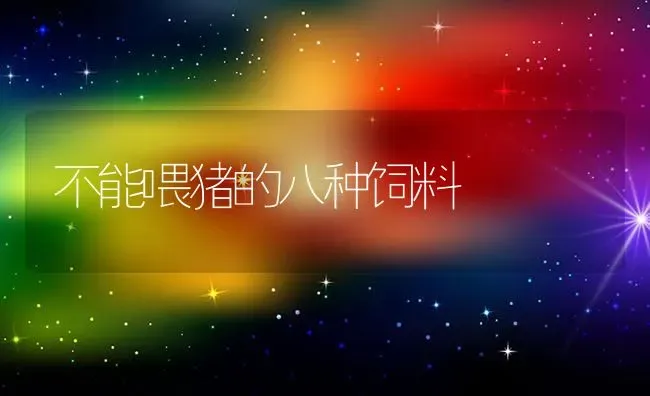 不能喂猪的八种饲料 | 家畜养殖