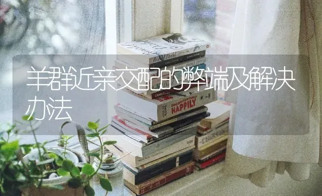 羊群近亲交配的弊端及解决办法 | 家畜养殖