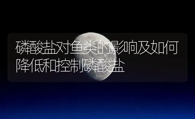 磷酸盐对鱼类的影响及如何降低和控制磷酸盐 | 动物养殖百科