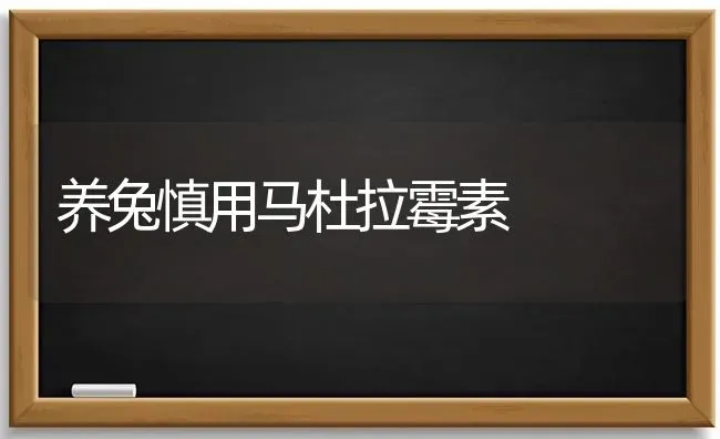 养兔慎用马杜拉霉素 | 家畜养殖