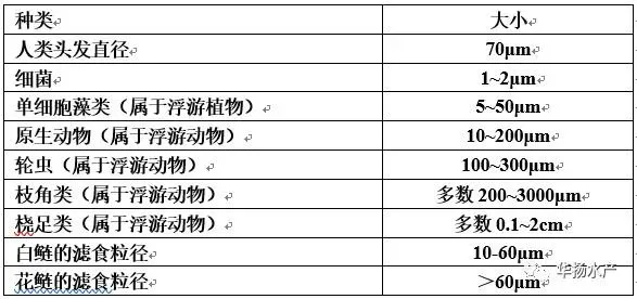 油焖大虾火了小龙虾，剁椒鱼头火了大头，养殖朋友该如何抓住逆势而上的大头鱼