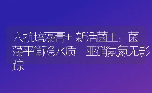 六抗培藻膏+新活菌王：菌藻平衡稳水质 亚硝氨氮无影踪 | 动物养殖百科