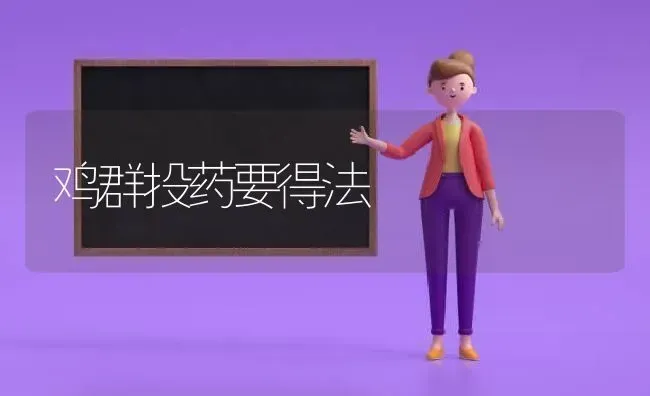 鸡群投药要得法 | 养殖病虫害防治