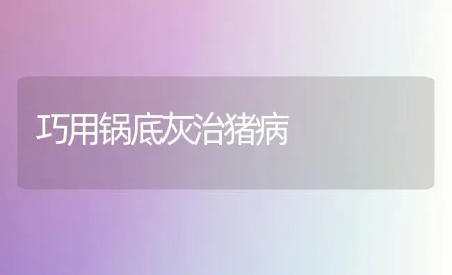 巧用锅底灰治猪病 | 家畜养殖