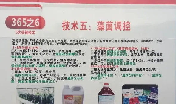 “大鳊鱼”模式首战告捷，第一波热水鱼卖出三万斤