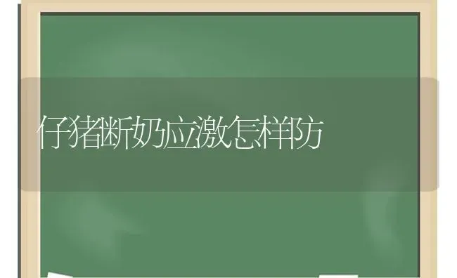 仔猪断奶应激怎样防 | 家畜养殖