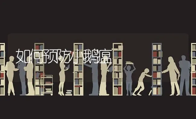 如何预防小鹅瘟 | 家禽养殖