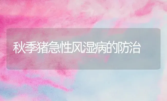 秋季猪急性风湿病的防治 | 家畜养殖