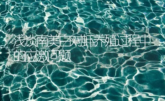 浅谈南美白对虾养殖过程中的应激问题 | 海水养殖