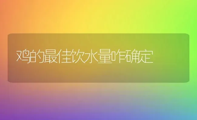 鸡的最佳饮水量咋确定 | 家禽养殖