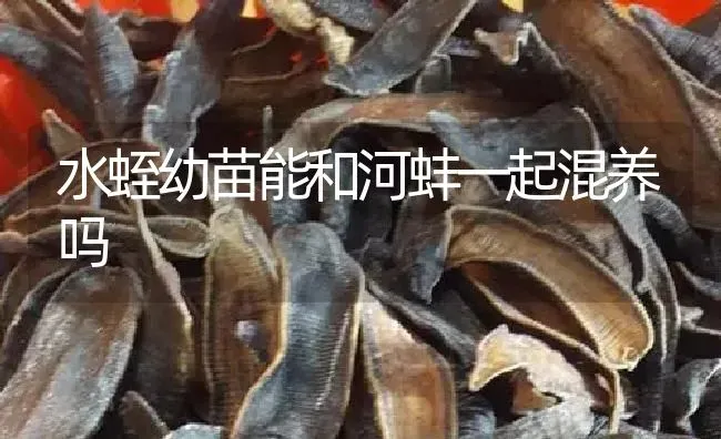 水蛭幼苗能和河蚌一起混养吗 | 特种养殖
