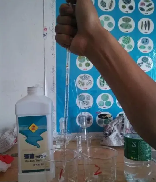 用弧菌天敌进行处理弧菌的简易试验