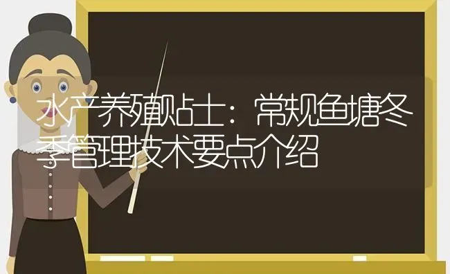 水产养殖贴士：常规鱼塘冬季管理技术要点介绍 | 动物养殖百科