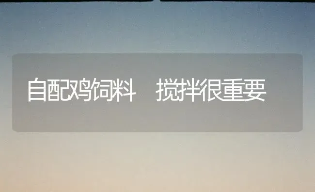 自配鸡饲料 搅拌很重要 | 家禽养殖