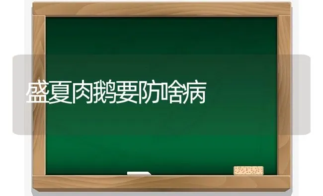 盛夏肉鹅要防啥病 | 家禽养殖