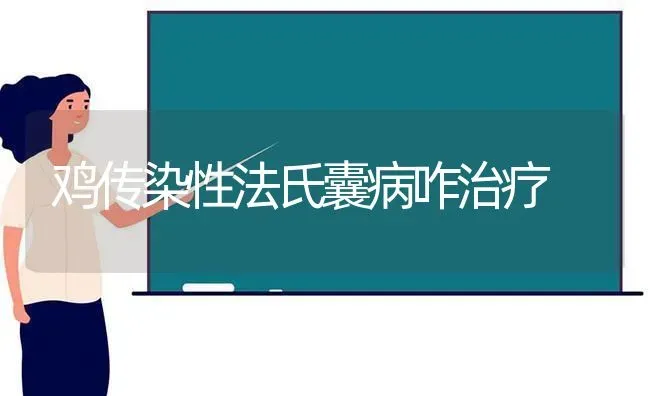 鸡传染性法氏囊病咋治疗 | 家禽养殖