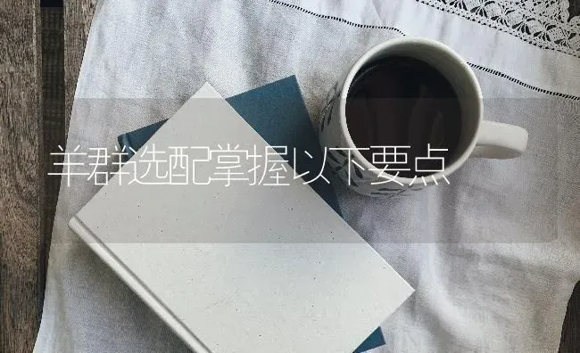 羊群选配掌握以下要点 | 家畜养殖