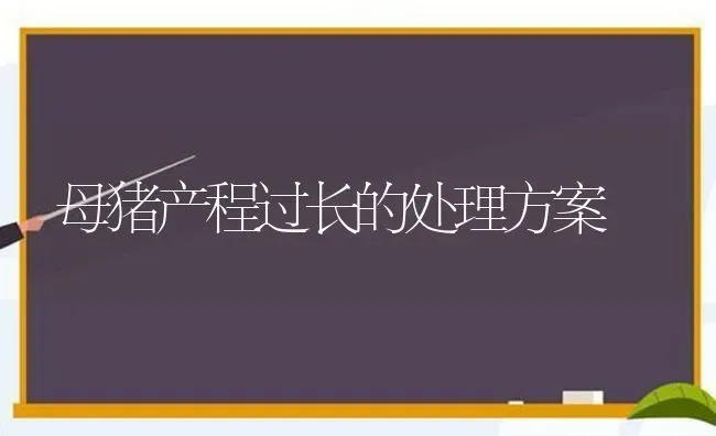 母猪产程过长的处理方案 | 家畜养殖