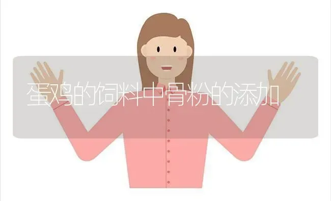 蛋鸡的饲料中骨粉的添加 | 家禽养殖