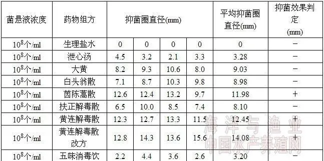 罗非鱼链球菌病病原鉴定及中草药药敏试验