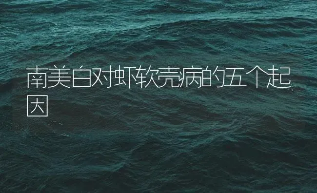 南美白对虾软壳病的五个起因 | 海水养殖