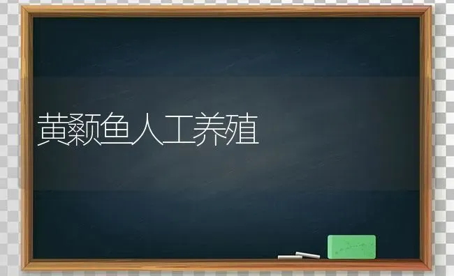 黄颡鱼人工养殖 | 淡水养殖