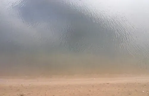 雨天过后海参养殖池红色水质的调控技巧分享