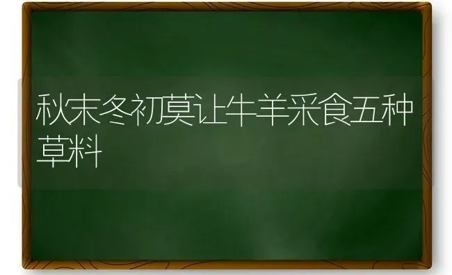 秋末冬初莫让牛羊采食五种草料 | 家畜养殖