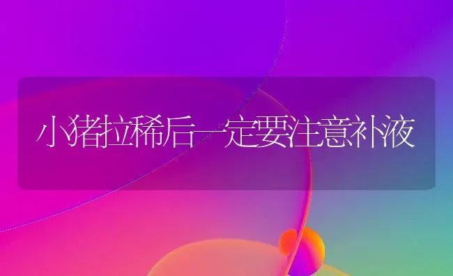 小猪拉稀后一定要注意补液 | 家畜养殖