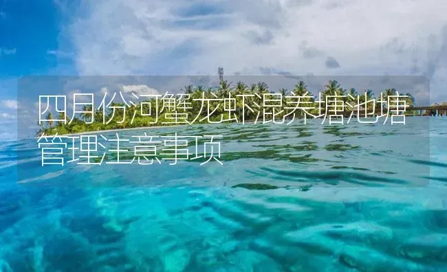 四月份河蟹龙虾混养塘池塘管理注意事项 | 海水养殖