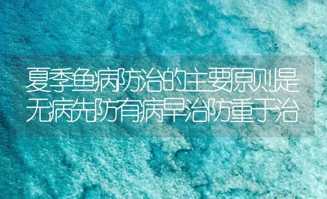 夏季鱼病防治的主要原则是无病先防有病早治防重于治 | 养殖病虫害防治