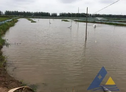 [每周一例]降雨缺氧诱发小龙虾白斑综合征死亡