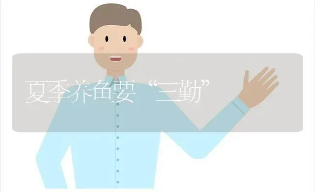 夏季养鱼要“三勤” | 淡水养殖