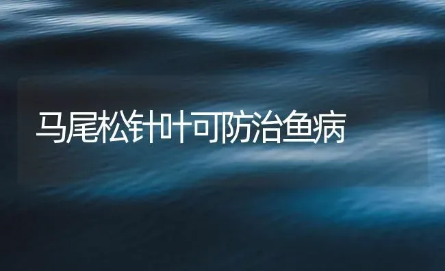 马尾松针叶可防治鱼病 | 养殖病虫害防治