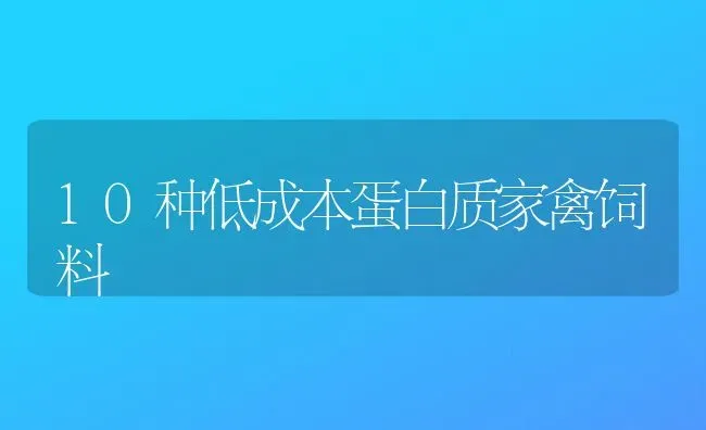 10种低成本蛋白质家禽饲料 | 动物养殖饲料