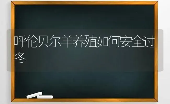 呼伦贝尔羊养殖如何安全过冬 | 家畜养殖