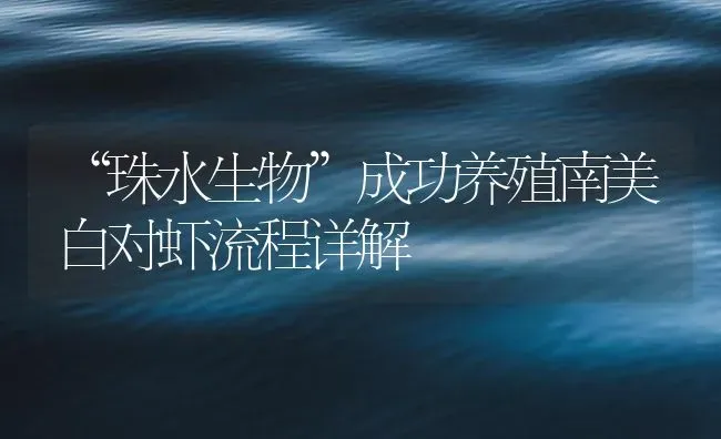 “珠水生物”成功养殖南美白对虾流程详解 | 海水养殖