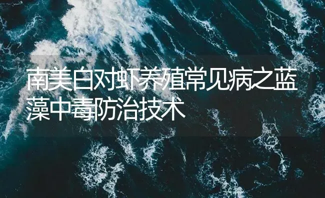 南美白对虾养殖常见病之蓝藻中毒防治技术 | 海水养殖