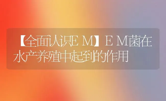 【全面认识EM】EM菌在水产养殖中起到的作用 | 养殖病虫害防治