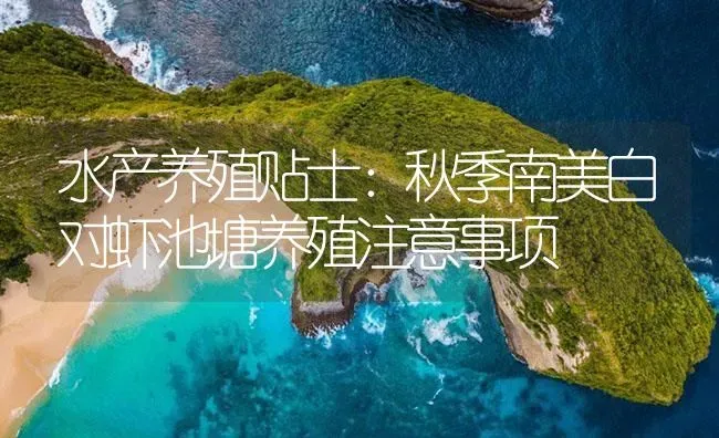 水产养殖贴士：秋季南美白对虾池塘养殖注意事项 | 海水养殖